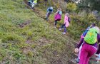 Športni dan – Pohod po okoliških hribih Logatca, vzpon na Sekirico