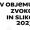 Natečaj V objemu zvoka in slike 2023