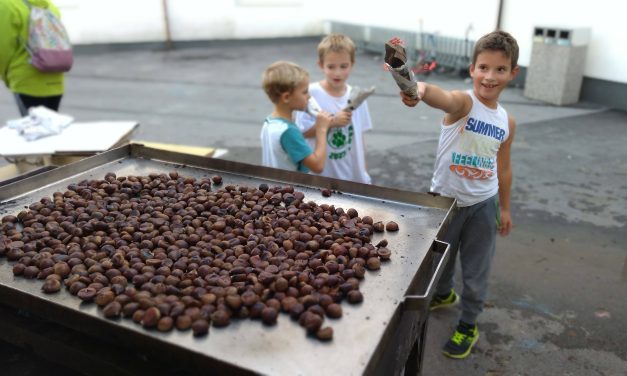 Tradicionalni kostanjev piknik