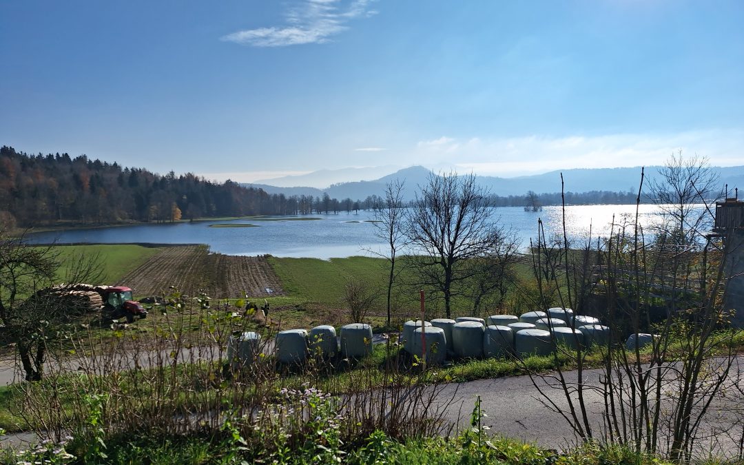 Planinsko polje – čudež narave