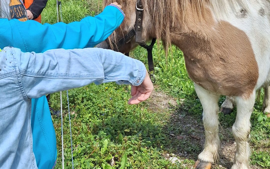 Druženje s ponijem